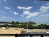 ＳＥＡ　ＢＲＥＥＺＥ 305の掲載元画像（縮小）